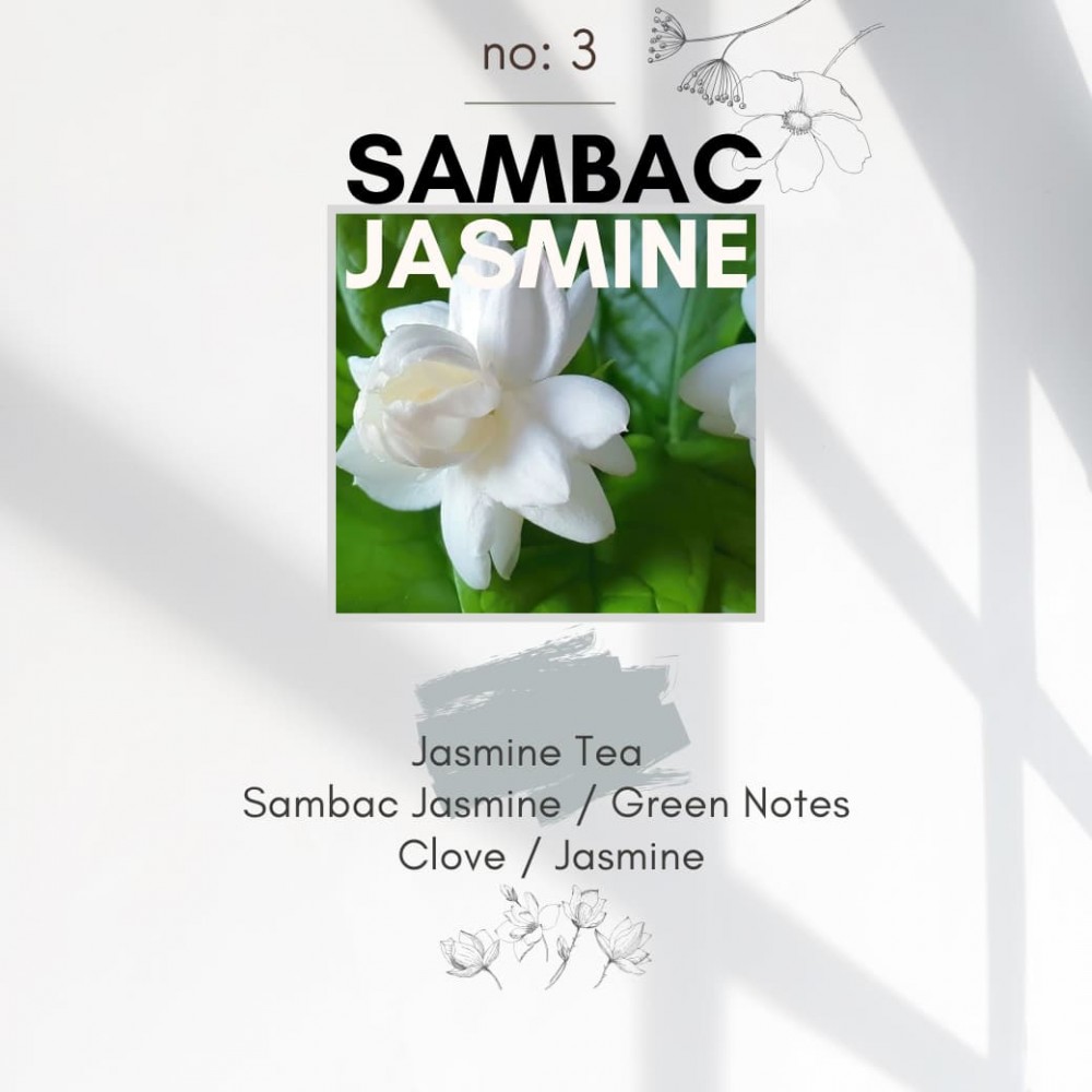 SAMBAC JASMINE / Mum Esansı AAA Series (IFRA sertifikalı) 
