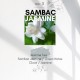 SAMBAC JASMINE / Mum Esansı AAA Series (IFRA sertifikalı)