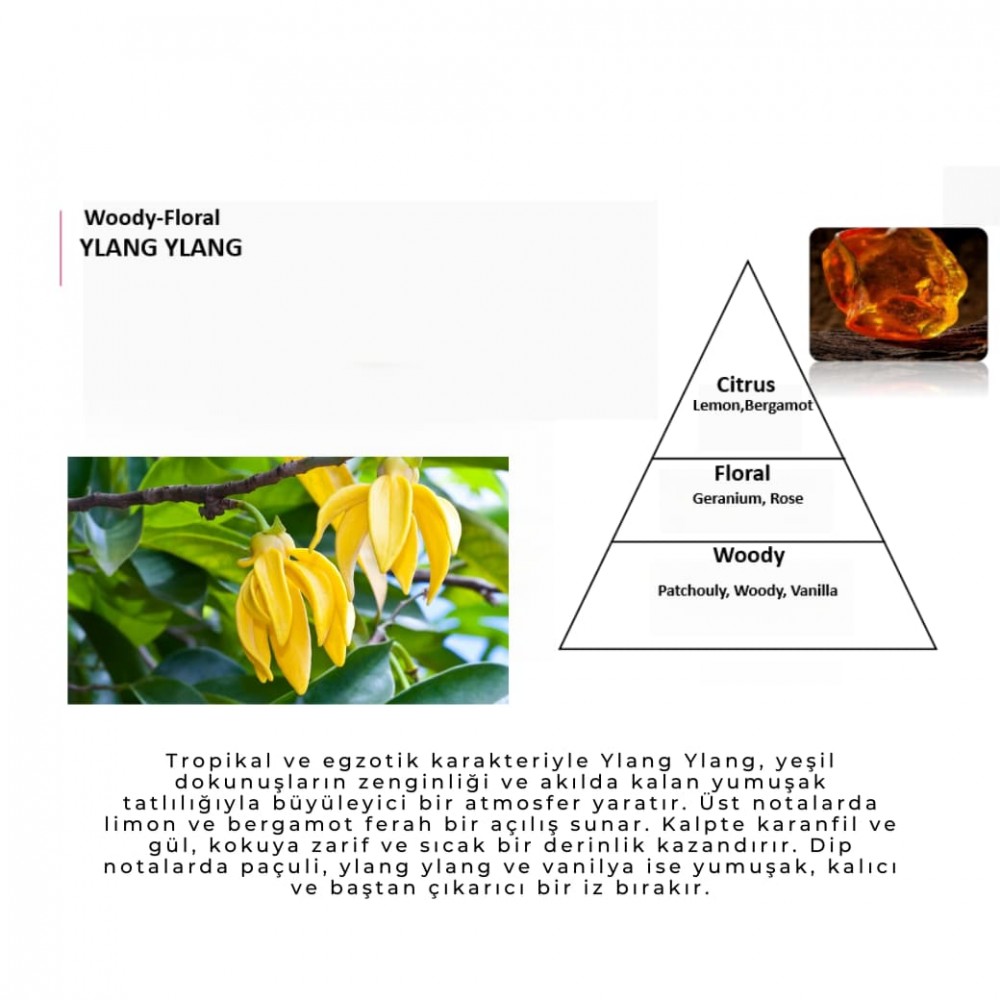 YLANG YLANG / Mum Esansı AAA Series (IFRA sertifikalı) 