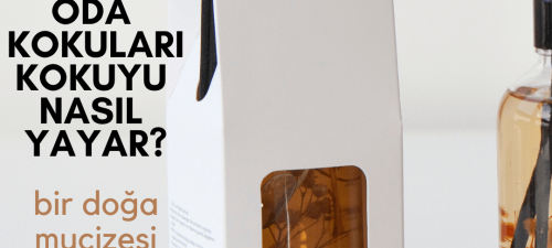 Oda Kokuları Kokuyu Nasıl Yayar?