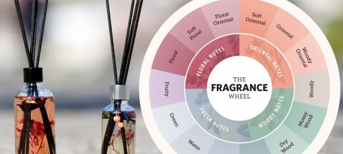 Parfümerik Koku Çarkı Nedir ?