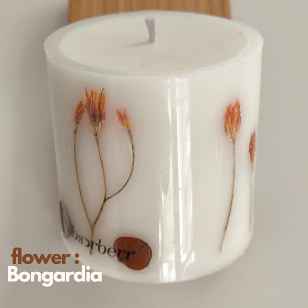SHEIDA/Botanical - Floral Sütun Mumları / Hediyelik Ahşap Kutu İçinde CocoSoy Mumu SHEIDA/Botanical - Floral Sütun Mumları / Hediyelik Ahşap Kutu İçinde CocoSoy Mumu