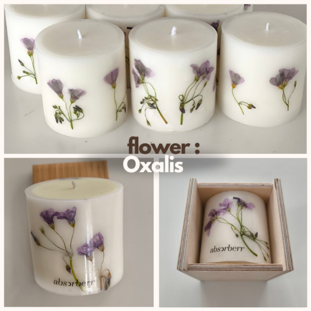 SHEIDA/Botanical - Floral Sütun Mumları / Hediyelik Ahşap Kutu İçinde CocoSoy Mumu SHEIDA/Botanical - Floral Sütun Mumları / Hediyelik Ahşap Kutu İçinde CocoSoy Mumu