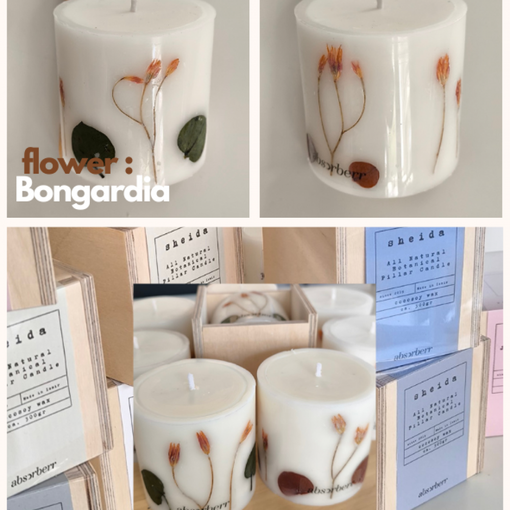 SHEIDA/Botanical - Floral Sütun Mumları / Hediyelik Ahşap Kutu İçinde CocoSoy Mumu SHEIDA/Botanical - Floral Sütun Mumları / Hediyelik Ahşap Kutu İçinde CocoSoy Mumu