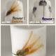 SHEIDA/Botanical - Floral Sütun Mumları / Hediyelik Ahşap Kutu İçinde CocoSoy Mumu SHEIDA/Botanical - Floral Sütun Mumları / Hediyelik Ahşap Kutu İçinde CocoSoy Mumu