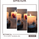 SHEIDA/Botanical - Floral Sütun Mumları / Hediyelik Ahşap Kutu İçinde CocoSoy Mumu