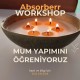 Absorberr Workshop Katılım Ön Ödeme