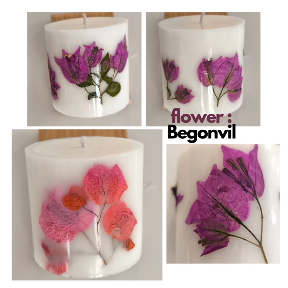 BEGONVIL
